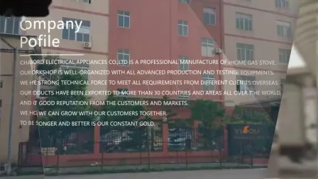 고품질 Good Fire Blue Flame 4 버너 테이블 가스 스토브 (YG